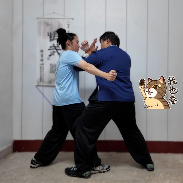 八極拳頂心肘對練對打
